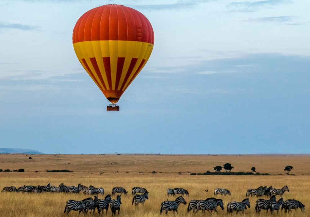 How to Book a Safari in Kenya